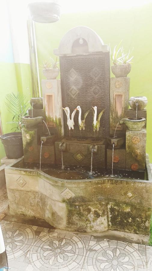 Bali Dd Homestay Seminyak Extérieur photo